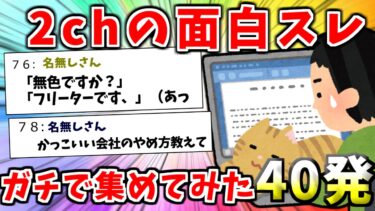 動画で見る⇒【2ch面白いスレ】2chおもしろコピペまとめ！ガチで集めてみた40発！【作業用BGM】【ゆっくり解説】【2chおもしろナビ】