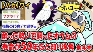 動画で見る⇒【バカ】酔った勢いで飼ったオウムの寿命が50年だと知り後悔。他4本を加えた総集編【2ch面白いスレ】【2chおバカ人情屋台】