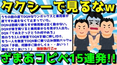 動画で見る⇒【2ch面白いスレ】ざまあコピペで楽しく笑え！スカッとするコピペ15連発！【ゆっくり解説】【ゆっくり君の2chコピペ】