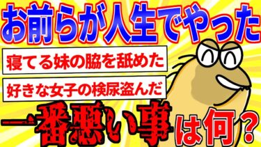 【鉄人28匹ギコ&しぃ】お前らが人生でやった一番悪い事は何？【2ch面白いスレゆっくり解説】