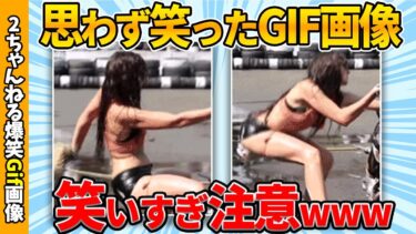 動画で見る⇒【爆笑総集編】おもしろGif画像貼りまくるぞww by 2ch【コメ付き】【ゆっくり解説】【2chスレ】【5ch】【2chゆっくり爆笑Gif図鑑】