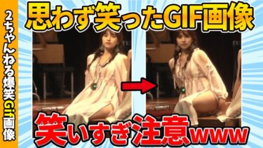 動画で見る⇒【爆笑35連発】厳選おもしろGif画像で笑ったら寝ろww by 2ch【コメ付き】【ゆっくり解説】【2chスレ】【5ch】#149【2chゆっくり爆笑Gif図鑑】