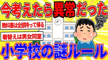 【鉄人28匹ギコ&しぃ】今考えたら異常だった「小学校の謎ルール」【2ch面白いスレゆっくり解説】