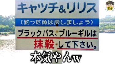 動画で見る⇒【視聴者投稿】みんなが撮ったヤバイ写真がおもしろすぎたwww笑ったら寝ろwww【ゆっくり】【ゆっくり2chバラエティ】