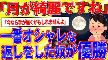 【鉄人28匹ギコ&しぃ】「月が綺麗ですね」に対して一番お洒落な返しをした奴が優勝【2ch面白いスレゆっくり解説】