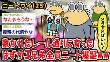 動画で見る⇒【悲報】敷かれたレール通りに育ったはずが3兄弟全員ニート爆誕ww【2ch面白いスレ】【2chおバカ問題児】