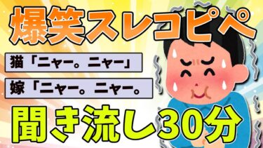 動画で見る⇒【2ch面白いスレ】おもしろコピペ65連発！！！爆笑間違いなし！聞き流し30分！【作業用BGM】【ゆっくり解説】【2chおもしろナビ】