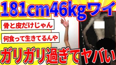 【鉄人28匹ギコ&しぃ】181cm46kgワイ、痩せすぎてヤバいｗｗｗ【2ch面白いスレゆっくり解説】