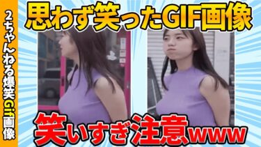 動画で見る⇒【爆笑30選】何度も笑える面白Gif画像で笑ったら寝ろww by 2ch【コメ付き】【ゆっくり解説】【2chスレ】【5ch】#150【2chゆっくり爆笑Gif図鑑】