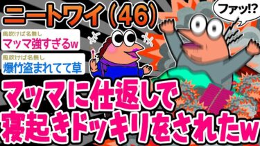 【2chの面白い話題】【悲報】「マッマがふざけて爆竹で起こしてきたんやがw」→結果wwww【2ch面白いスレ】⚪︎