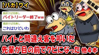 動画で見る⇒【バカ】無断欠勤したバイトと間違え客を叩いた先輩が目の前でクビになった。他4本を加えた総集編【2ch面白いスレ】【2chおバカ人情屋台】