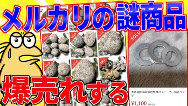 【鉄人28匹ギコ&しぃ】メルカリ民、天才的な錬金術で謎の商品を売りまくる【2ch面白いスレゆっくり解説】