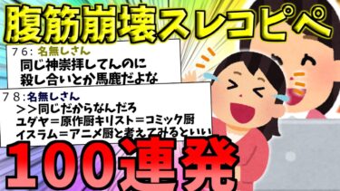 【2chおもしろナビ】【2ch面白いスレ】おもしろコピペ100連発！腹筋崩壊のスレ！【聞き流しBGM】【作業用BGM】【ゆっくり解説】