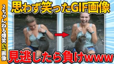 【ゆっくり爆笑図鑑】【面白gif35連発】何度も吹いたおもしろgif画像ww by 2ch【コメ付き】【ゆっくり解説】【2chスレ】【5ch】#155