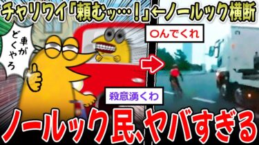 動画で見る⇒【当たり屋】自転車走行中ワイ「頼むッ…！」←ノールック民、思考がヤバすぎる…【2ch面白いスレ】【＞＞1イッチーズ】