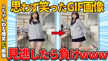 【ゆっくり爆笑図鑑】【面白gif35選】何度見ても面白い最強gif画像集ww by 2ch【コメ付き】【ゆっくり解説】【2chスレ】【5ch】#160