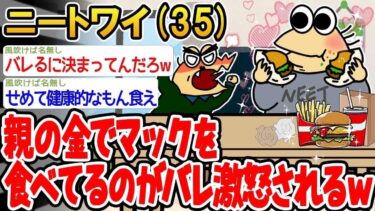 【2chの面白い話題】【2ch面白いスレ】「親の金でマックを食べてるのがバレ激怒されたw」→結果www【ゆっくり解説】【バカ】【悲報】