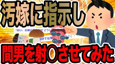 【2chで笑いを叫ぶ】汚嫁に指示し間男を射○させてみた【2ch修羅場スレ】