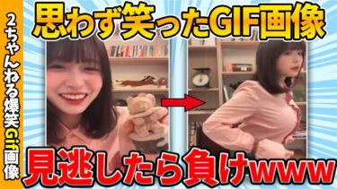 【ゆっくり爆笑図鑑】【面白gif35連発】何度でも笑える爆笑gif画像ww by 2ch【コメ付き】【ゆっくり解説】【2chスレ】【5ch】#162