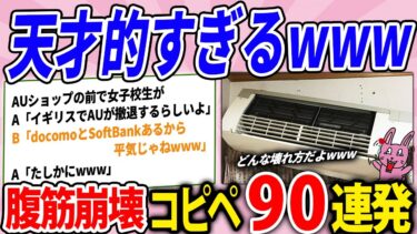 【2chウサバラ】天才的なコピペ集めたらツッコミどころ多すぎたwww腹筋崩壊コピペ90連発！