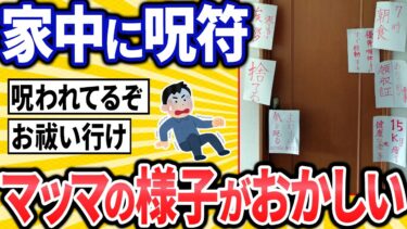 【転2チャ】【2ch面白いスレ】ワイのマッマ、ついにおかしくなるｗｗｗ【ゆっくり解説】