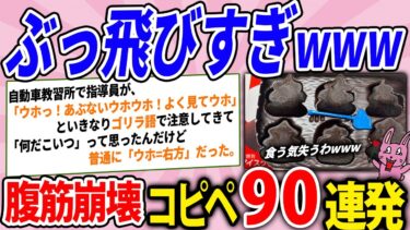 【2chウサバラ】見たことないコピペ集めたらぶっ飛びすぎてたwww腹筋崩壊コピペ90連発！