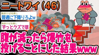 【2chの面白い話題】【2ch面白いスレ】「腹が減ったら2階から爆竹投げるようにしたら怒られたんだけど、なんで？」→結果wwww【ゆっくり解説】【バカ】