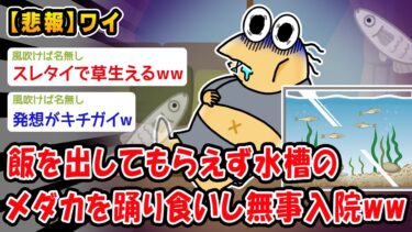 【2chおバカ問題児】【悲報】飯を出してもらえないので水槽のメダカを踊り食いし無事入院ww【2ch面白いスレ】