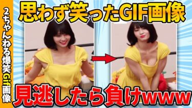 【ゆっくり爆笑図鑑】【爆笑gif】思わず吹いたおもしろgif画像集めたぞww by 2ch【コメ付き】【ゆっくり解説】【2chスレ】【5ch】#157