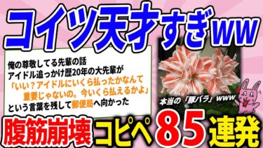 動画で見る⇒天才的なコピペを集めたらアタオカなやつ多すぎたｗｗｗ腹筋崩壊コピペ85連発！【2chウサバラ】