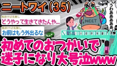 動画で見る⇒【2ch面白いスレ】「おつかいを頼まれたワイ家に帰れず大号泣w」→結果wwww【ゆっくり解説】【バカ】【2chの面白い話題】