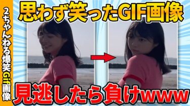 【ゆっくり爆笑図鑑】【爆笑総集編】何度でも見れるおもしろgif画像集ww by 2ch【コメ付き】【ゆっくり解説】【2chスレ】【5ch】