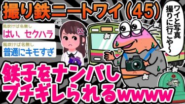 動画で見る⇒【2ch面白いスレ】「おいおい、電車の中で一緒に写真撮る？』 女の子『気持ち悪いよw」→結果wwww【ゆっくり解説】【バカ】【2chの面白い話題】