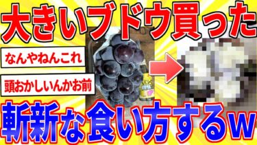 【鉄人28匹ギコ&しぃ】【閲覧注意】デカすぎるブドウ買ってきたｗｗｗ【2ch面白いスレゆっくり解説】