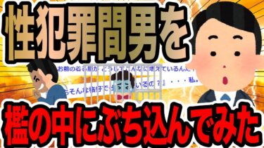 【2chで笑いを叫ぶ】性犯罪間男を檻の中にぶち込んでみた【2ch修羅場スレ】