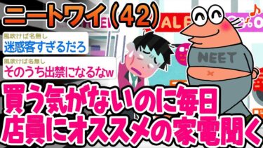 【2chの面白い話題】【2ch面白いスレ】「全く買う気はないけど毎日電気屋を徘徊してるンゴw」→結果wwww【ゆっくり解説】【バカ】