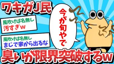 【俺たち天才なんJ民】【悲報】ワキガJ民、臭いが限界突破してしまうｗｗｗ【2ch面白いスレ】【ゆっくり解説】