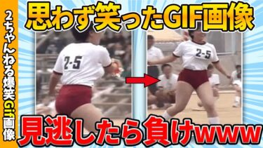 【ゆっくり爆笑図鑑】【面白gif】思わず爆笑した最強gif画像ww by 2ch【コメ付き】【ゆっくり解説】【2chスレ】【5ch】#161