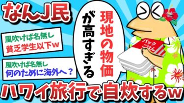 【俺たち天才なんJ民】【悲報】なんJ民、ハワイ旅行で自炊するｗｗｗ【2ch面白いスレ】【ゆっくり解説】