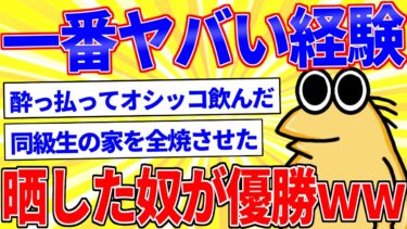 【鉄人28匹ギコ&しぃ】一番ヤバい経験晒した奴が優勝www【2ch面白いスレゆっくり解説】