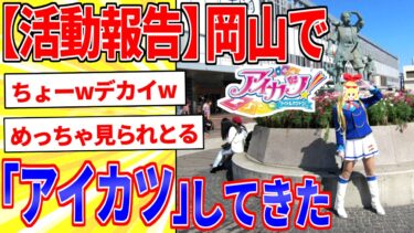 【鉄人28匹ギコ&しぃ】コスプレして岡山でアイドル活動してきたｗｗｗ【2ch面白いスレゆっくり解説】