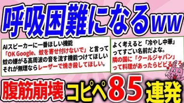 【2chウサバラ】週末くらいこれみて笑っとけwww腹筋崩壊コピペ85連発！