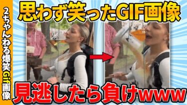 【ゆっくり爆笑図鑑】【爆笑gif総集編】何度でも笑えるおもしろgif画像がヤバいww by 2ch【コメ付き】【ゆっくり解説】【2chスレ】【5ch】