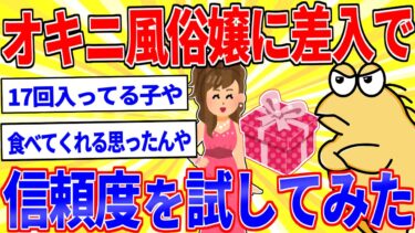 【鉄人28匹ギコ&しぃ】ワイのオキニ風俗嬢に差し入れして信頼度を試してみた結果…【2ch面白いスレゆっくり解説】