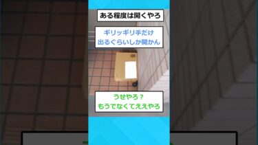 【2chホウソウキョク】【2ch面白いスレ】アマゾンの置き配頼んだら家から出られなくなったんやがwww #2chスレ #2ch #伝説