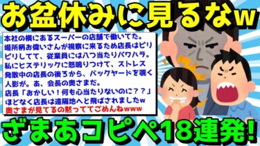 【ゆっくり君の2ch】【2ch面白いスレ】ざまあコピペですっきり笑え！猛暑を吹き飛ばすコピペ18連発！【ゆっくり解説】