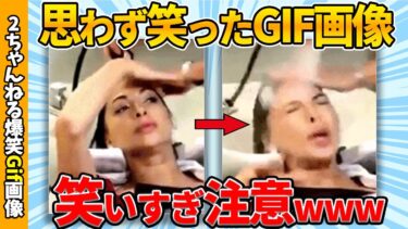 【ゆっくり爆笑図鑑】【爆笑gif総集編】笑いすぎ注意！何度見ても笑えるおもしろgif画像ww by 2ch【コメ付き】【ゆっくり解説】【2chスレ】【5ch】