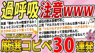 【2chウサバラ】何度見ても笑える！1万人が選んだ超爆笑厳選コピペ30連発！【総集編】