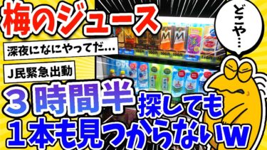 【2ch面白キッチン】【2ch面白いスレ】安価で梅のジュース探しに行ったら3時間半1本も見つからないんだがwww