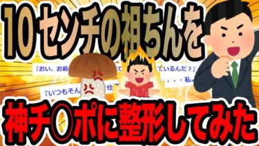 【2chで笑いを叫ぶ】10センチの祖ちんを神チ○ポに整形してみた【2ch修羅場スレ】